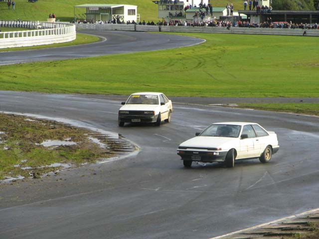 d1nzr404